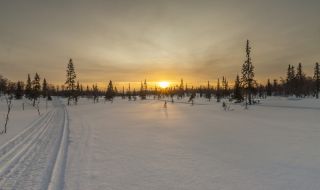 В Мурманск посрещнаха слънцето след 40 дни полярна нощ