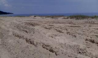 Докато правителството пази дюните от &quot;опасни&quot; къмпингуващи, булдозери заравняват
