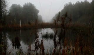 От днес започва застудяване