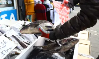 Започнаха проверки на търговци за рибата, която се предлага за Никулден