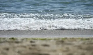 МОСВ: Няма замърсяване на морската вода по българското Черноморие след инцидента с двата кораба