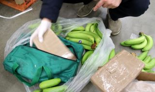 В Чехия хванаха 840 кг кокаин в банани