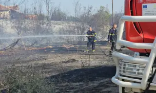  Пожарът край Селиминово навлезе в дворовете на къщи