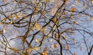 Времето днес, прогноза за петък, 2 октомври: Захлаждане и валежи на много места