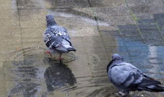 Интензивни валежи за 10 области утре