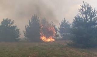 Пожарът край Свиленград се разраства