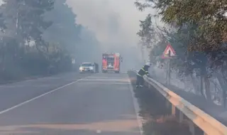 Овладяха голям пожар край Русе