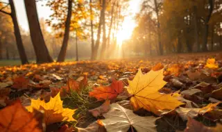 Астрономическата есен в България започва тази вечер