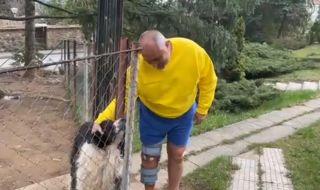Борисов насочва кучето Борко към Севда: Дръж тая кака, има мръвки (ВИДЕО)
