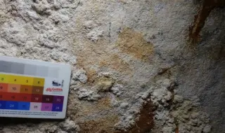 Откриха най-старите скални рисунки в света на индонезийски остров