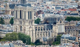 Изсичат вековни дървета в Париж заради "Нотр Дам"