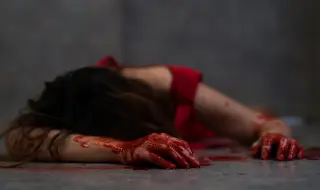 Убилият жена си с лопата в София, остава за постоянно в ареста