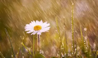 Weather today, forecast for Saturday, April 4: Cloudy with short-term rain showers 