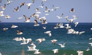 Времето днес, прогноза за петък, 1 септември: Слънчево с превалявания и гръмотевици в следобедните часове