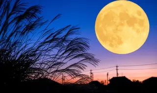 Жътварска луна: Първата Суперлуна за 2025 г. изгрява на небето тази седмица