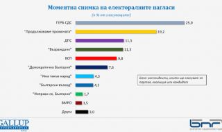 "Галъп": 6+2 партии в НС