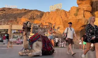 Хамас няма да участва в срещата в Шарм ел-Шейх, посветена на споразумението за мира в ивицата Газа
