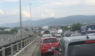 С 4,8% намалели колите в България