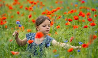 Променлива облачност, температурите падат