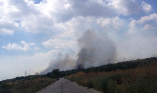 Локализиран е пожарът между Слънчево и Баново