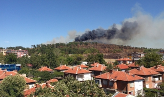Пожар в ямболския парк “Боровец”