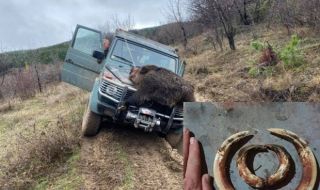 Застреляха огромно животно в Родопите