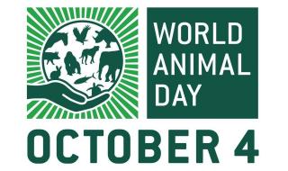 Отбелязват Световния ден на животните в Борисовата градина