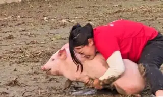 A nimble Chinese woman wins a bunch of pig-hunting competitions with her bare hands 