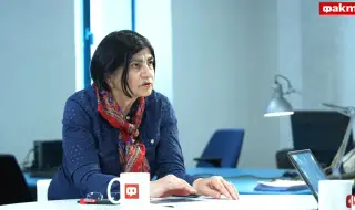 Светла Николова пред ФАКТИ: При вноса на аржентинския слънчоглед имаме петкратно завишен инсектицид (ВИДЕО)