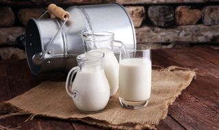 Протеин в прясното мляко ускорява заздравяването на рани