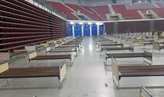 Проф. Витанов: С тези цифри ген. Мутафчийски ще опъне полевите болници