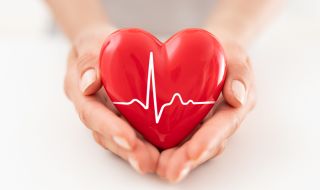 Развенчаха известен мит за здравето на сърцето