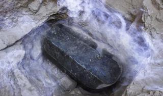 Ентусиасти искат да пият течност, в която плуват разложени мумии (ВИДЕО)
