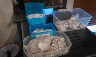 Спипаха огромно количество наркотици на яхта в Царево