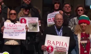 Варна иска зоополиция