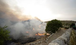 Джорджо Армани е сред избягалите от горски пожар на остров край Сицилия