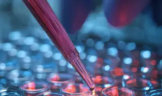 Нов пробив в невроонкологията: кръвен тест за диагностика на мозъчни тумори