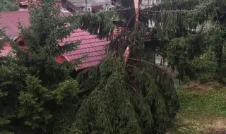 Ураганен вятър и градушка в Кесарево 
