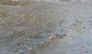 Авария на водопровод затвори пътя между Бусманци и Казичене