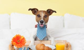 Модерна притча: Ще се държите ли добре?