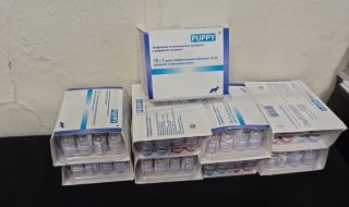 Задържаха недекларирани ветеринарни ваксини, паспорти и чипове за любимци