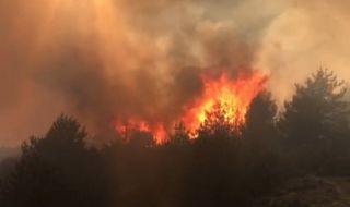 Горски пожар е възникнал в района на разложкото село Елешница 