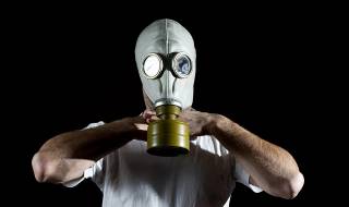 Заплаха с антракс опразни съд в Полша