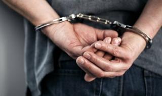 21-годишен затворник изнасилил жена в Девня
