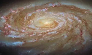 Космически валс на смъртта: Телескопът Hubble улови как дълбокият космос бавно задушава спирална галактика