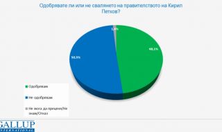 "Галъп": 48% от българите одобряват свалянето на правителството