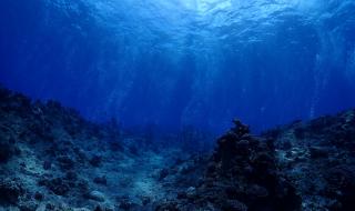 Учени събудиха бактерии на 100 млн. години