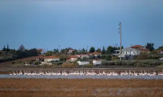 Гръцки националист: Българите и турците ни колонизират