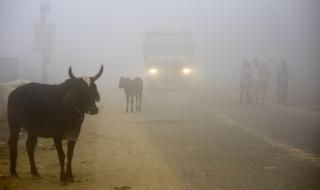 Извънредно положение в Ню Делхи заради смога