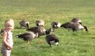 Мистериозна СНИМКА на дете не може да бъде разгадана